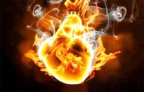 心火 2024,激情燃烧的岁月，梦想照进现实